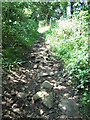 Long Tongue Scrog Lane, Houses Hill