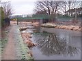 SK0100 : Forest Footbridge - Wyrley & Essington Canal by Adrian Rothery