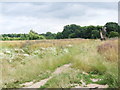 Site of demolished Smallholding