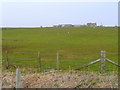 Pasture south of Old Stirkoke