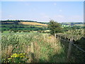 Footpath to Lascelles Hall