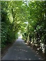 Wises Lane approaches Borden village