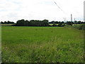 Field near Cobbler