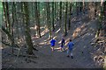 SE4498 : Footpath Through Mount Grace Woods by Mick Garratt