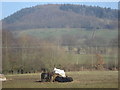 Farmland at the foot of Wapley Hill