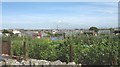 Allotments in Plas Road