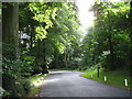 View south along the driveway of the Pencraig campus