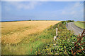 Fields by Holywell Road