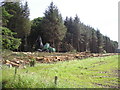 Timber Harvesting