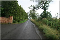 O1751 : Country road, looking West-southwest, in Brownstown, Co Dublin. by Colm O hAonghusa