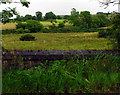 Wall and fields near Divis