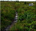 Stream near Divis