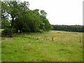 Fields east of Brixter Hill Farm