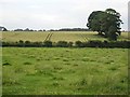 Parallel tracks near Eachwick Red House Farm