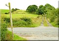 Road and track near Dromara