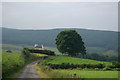 Farm road leading to Glenkiln