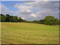 Farmland, Longstock