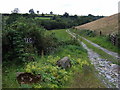 Cwm Dyfnant county boundary