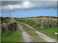 Track leading to White Alice Farm