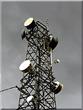 TF9409 : A closer view of the top of the radio mast by Evelyn Simak