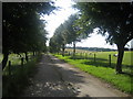 Private road,  Vicarage Barn Farm