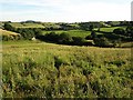 Valley near South Knighton