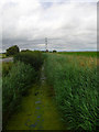 Drain near Guldeford Lane Corner