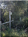 Footpath to Hambleton