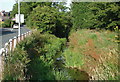 Lambwath Stream, Skirlaugh