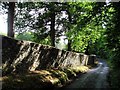 Wall beside lane above Chudleigh