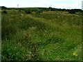 Towards Standing Stones Hill