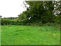 A corner of a field, Home Farm south of Malmesbury