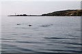 NG7113 : Porpoises, Isleornsay by Lisa Jarvis