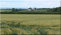 SK7224 : Farmland near Broughton Hill by Mat Fascione