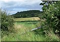 Across the fields to Broughton Hill