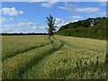 Farmland near Saxelbye Park, Leicestershire