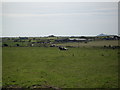 Pasture land near Abernant