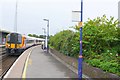 Japanese Knotweed at Dorchester South Station