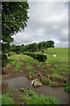 Farm track near Ochiltree