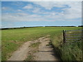 Pasture Land west of Llanon