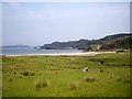 Rough pasture at Clashnessie Bay