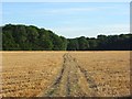 Footpath through stubble, Cookham