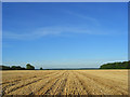 Stubble, Cookham