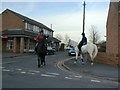 Horses in Formby