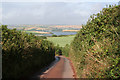 Lane near Malborough, Devon