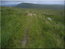 NN4261 : The flank of Sròn Leachd a' Chaorain with Sròn Smeur on the horizon by Pip Rolls