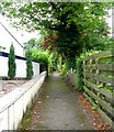 Footpath - Cowpasture Road