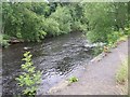 River Wharfe - Leeds Road, Ben Rhydding