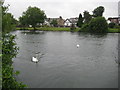 River Thames at Truss