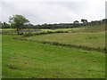 Corlacky Townland